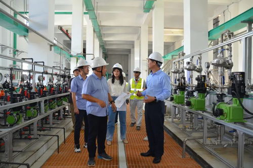 小堡壘服務大項目 大亞灣經濟技術開發區發揮黨小組作用實施全流程環保服務